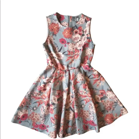 Aniyeby Dresses | Euc Aniye by Womans Floral Fitted Swing Mini Dress | Color: Blue/White | Size: M | Senbrilei's Closet